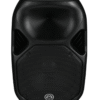 Wharfedale Titan 15 Speaker