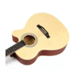Semi Acoustic Bass Guitar