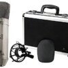 Behringer B-2 PRO Professional Dual-Diaphragm Studio Condenser Microphone